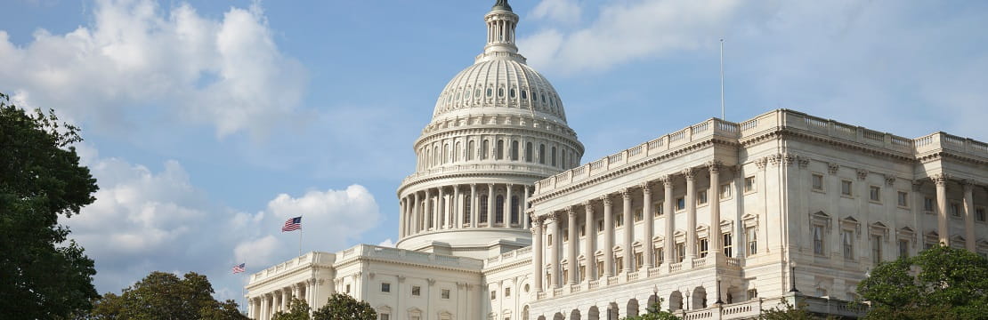 2019 Washington Policy: From Tailwinds to Headwinds